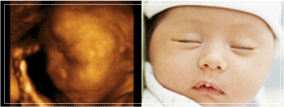 baby4.jpg