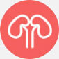 icon7.jpg